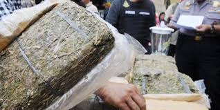 Bawa Ganja 18 Kg, Pemasok Asal Aceh Ditangkap di Medan